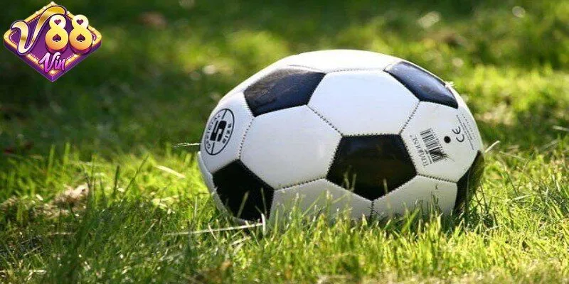Odds là gì? Phân biệt các loại odds phổ biến hiện nay - CORIX