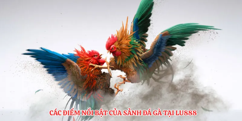 Sảnh SV368 Đá Gà LU888: So Sánh Các Hình Thức Cược Phổ Biến - corix.games - CORIX