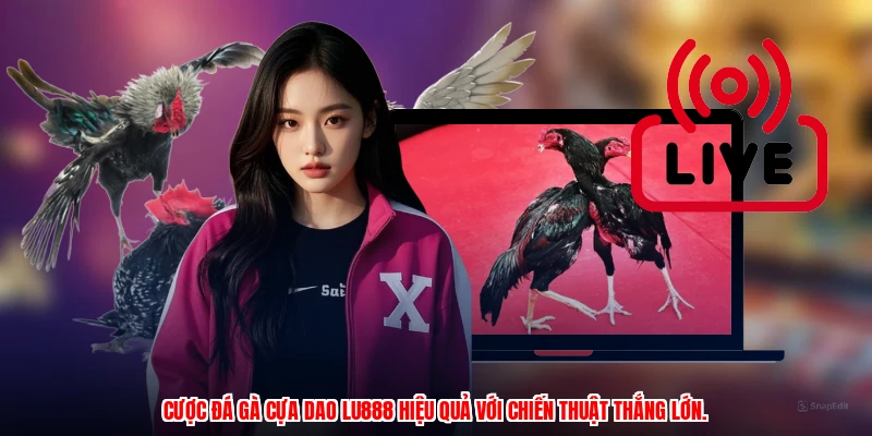 Mẹo Xem Đá Gà Cựa Dao LU888: Phân Tích Kèo Cược Chuẩn Xác - corix.games - CORIX