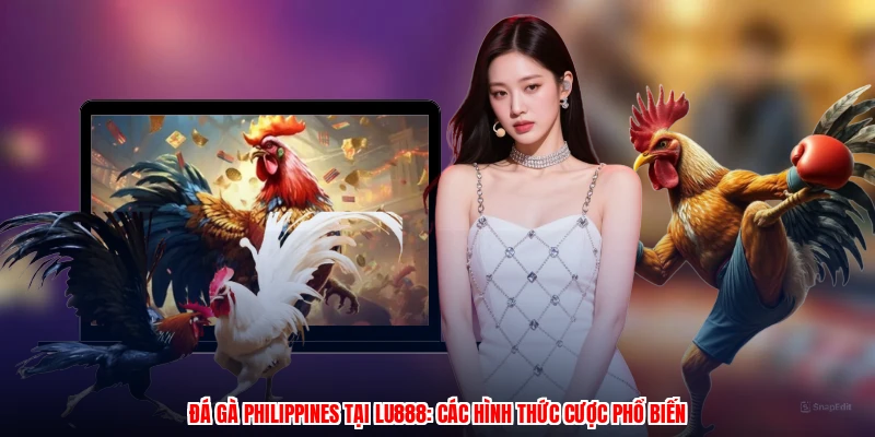 Đá Gà Philippines Tại LU888: Các Hình Thức Cược Phổ Biến - corix.games - CORIX