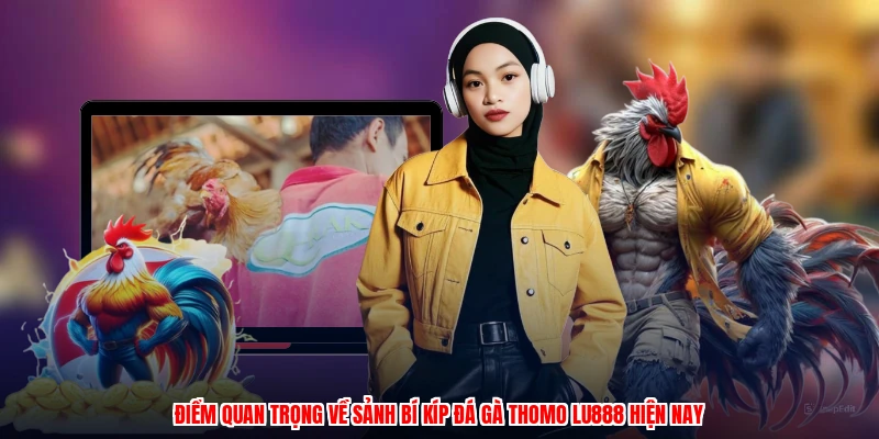 Bí Kíp Đá Gà Thomo LU888: Lý Do Sảnh Cược Được Tin Dùng - corix.games - CORIX