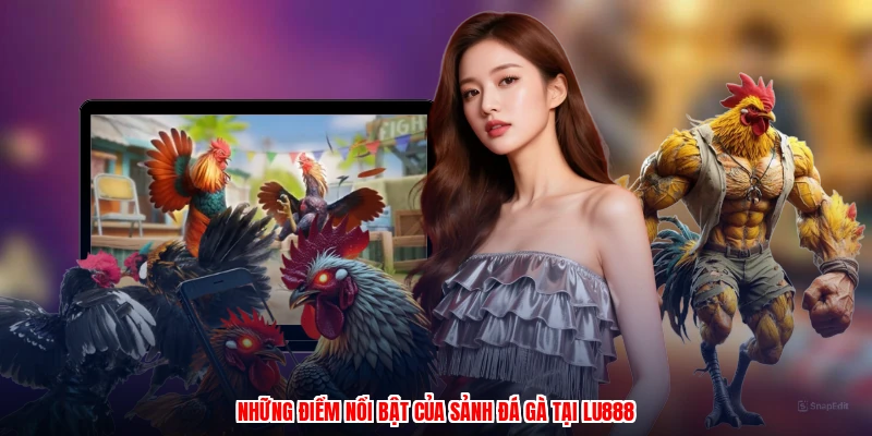 Đá Gà Philippines Tại LU888: Các Hình Thức Cược Phổ Biến - corix.games - CORIX