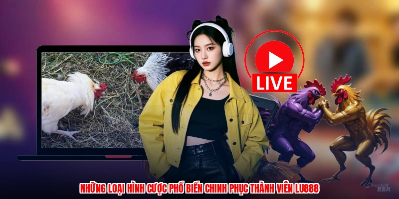 Bí Kíp Đá Gà Thomo LU888: Lý Do Sảnh Cược Được Tin Dùng - corix.games - CORIX