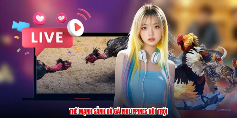 Đá Gà Philippines Tại LU888: Các Hình Thức Cược Phổ Biến - corix.games - CORIX