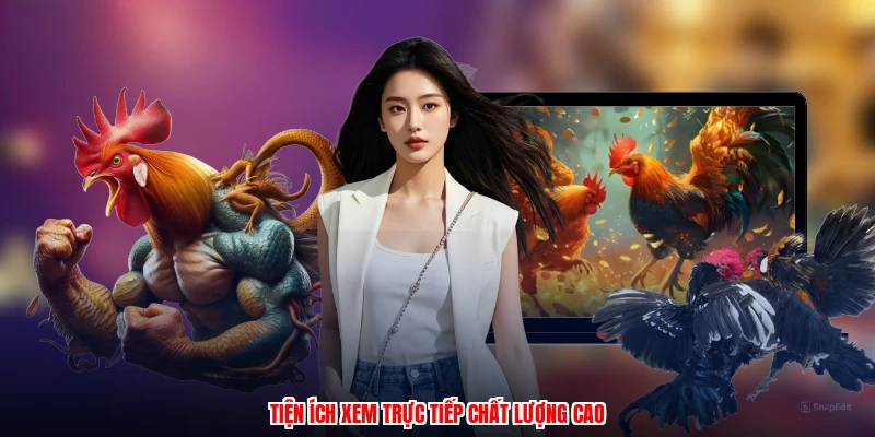 Đá Gà Philippines Tại LU888: Các Hình Thức Cược Phổ Biến - corix.games - CORIX