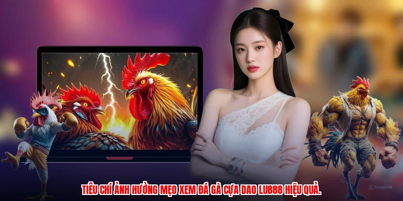 Mẹo Xem Đá Gà Cựa Dao LU888: Phân Tích Kèo Cược Chuẩn Xác - corix.games - CORIX
